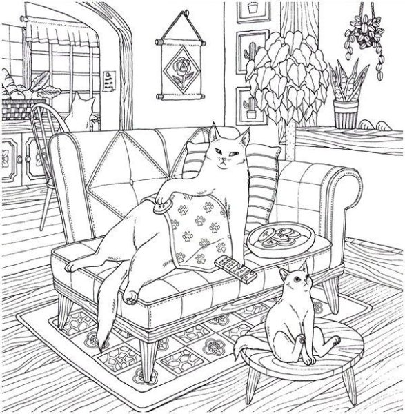 Раскраска домик для кота