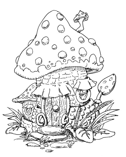 Картинки с грибами лягушками