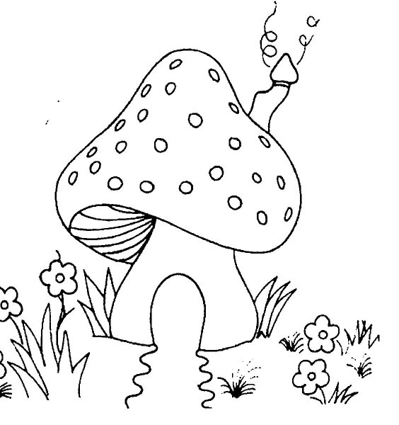 Сказочный гриб раскраска