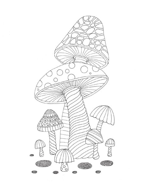 Раскраска про грибы для детей антистресс
