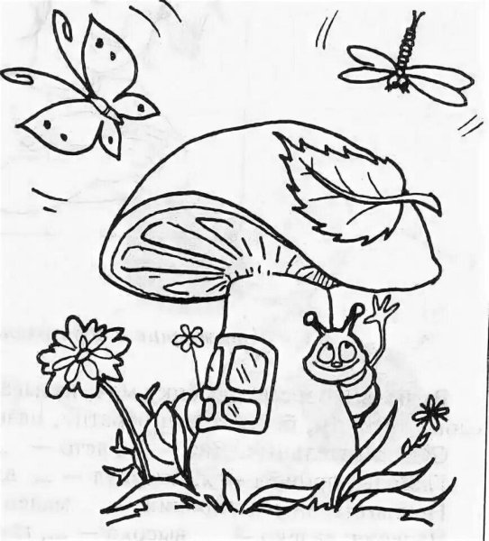 Под грибом раскраска