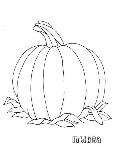 Тыква раскраска для детей