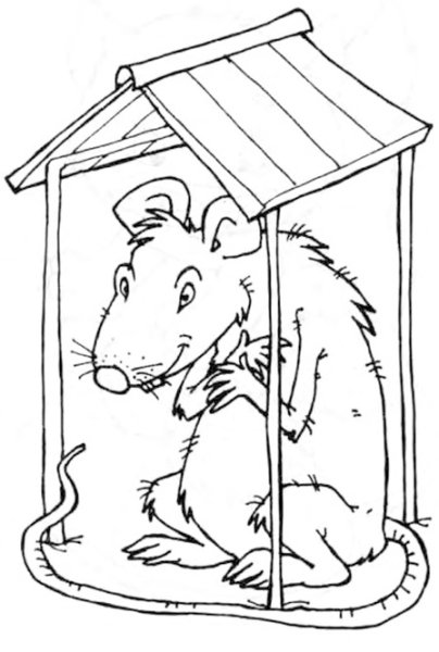 Раскраска хомяк в клетке