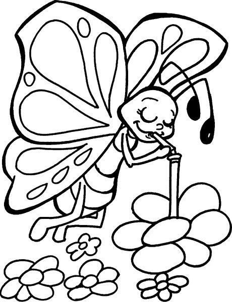 Раскраски для девочек 6 лет бабочки
