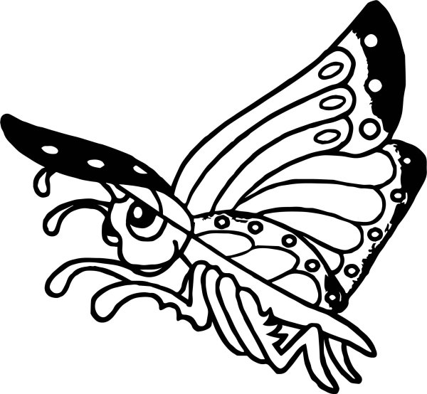 Раскраска бабочки и птички