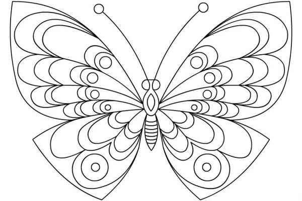 Картинка бабочка раскраска
