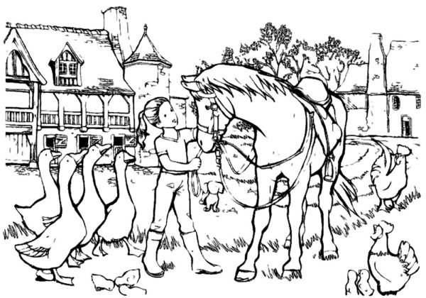 На ферме. Раскраска