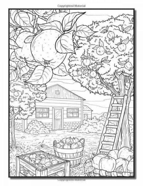 Осенний пейзаж раскраска для взрослых