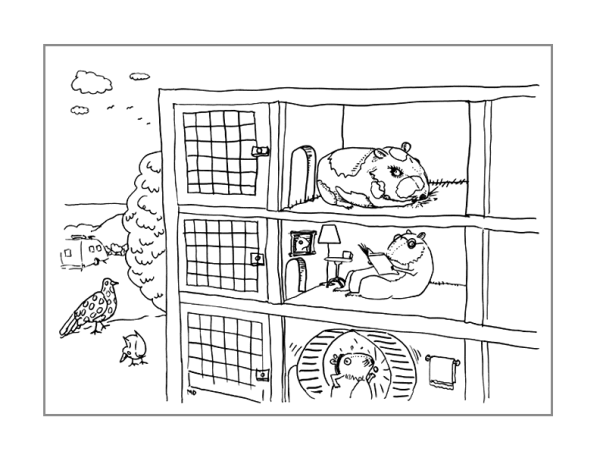 Раскраска хомячок в клетке