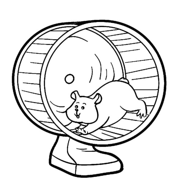 Хомяк в колесе раскраска