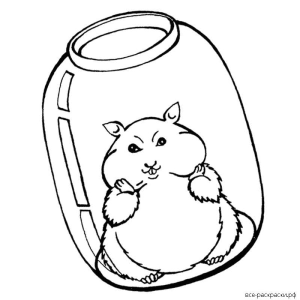 Раскраска хомяк