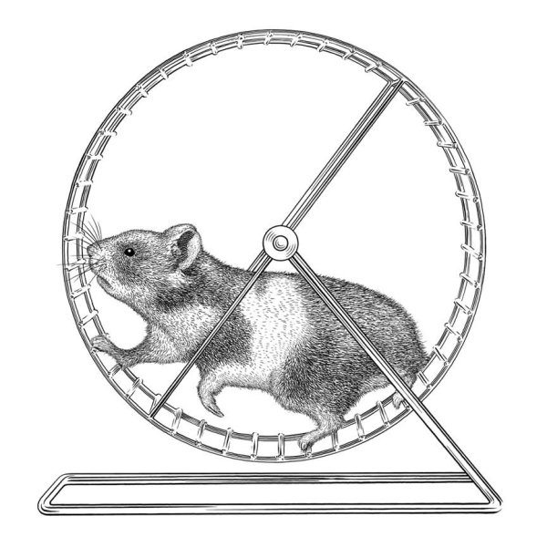 Мышь в колесе