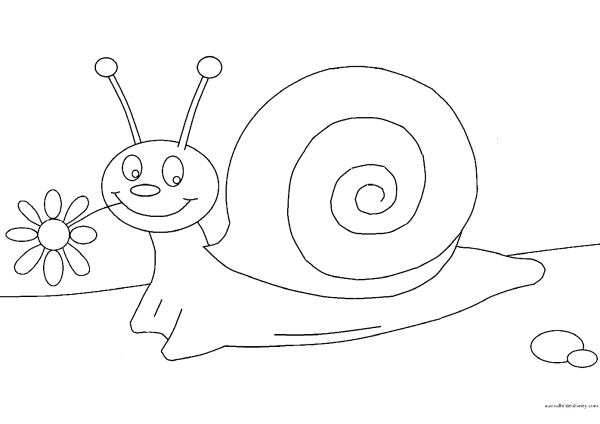 Улитка раскраска для детей