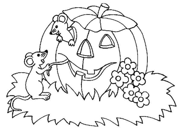 Раскраска мышонок в тыкве
