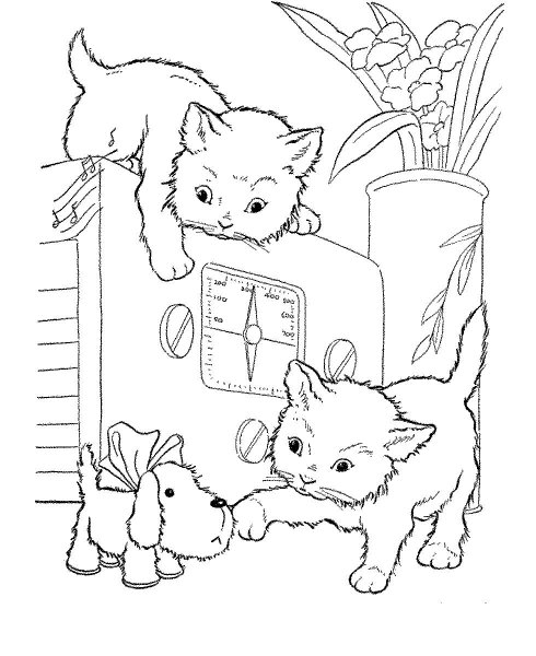 Котенок. Раскраска