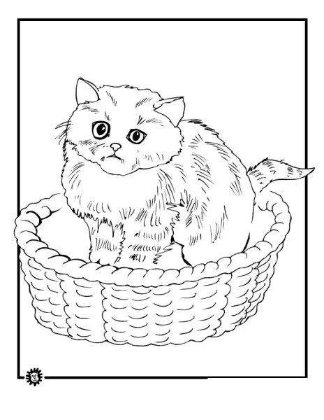 Котята в корзинке раскраска для детей