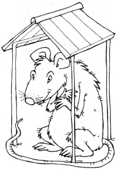 Раскраска хомяк в клетке