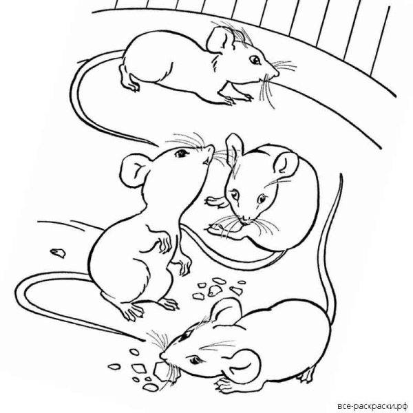 Мышь в норе раскраска