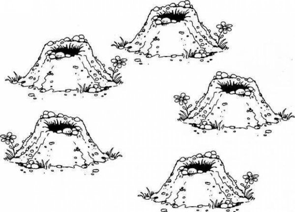 Нора раскраска для детей