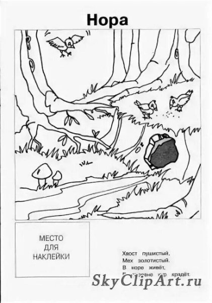 Нора лисы раскраска