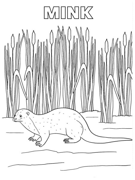 Мышкина норка раскраска