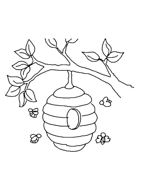 Улей раскраска для детей