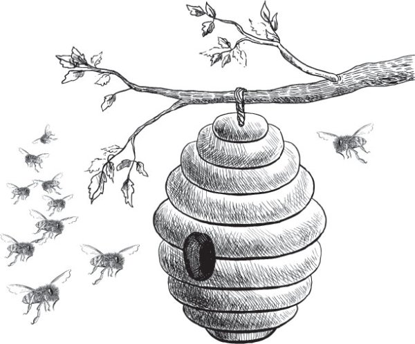 Раскраска улей для пчел