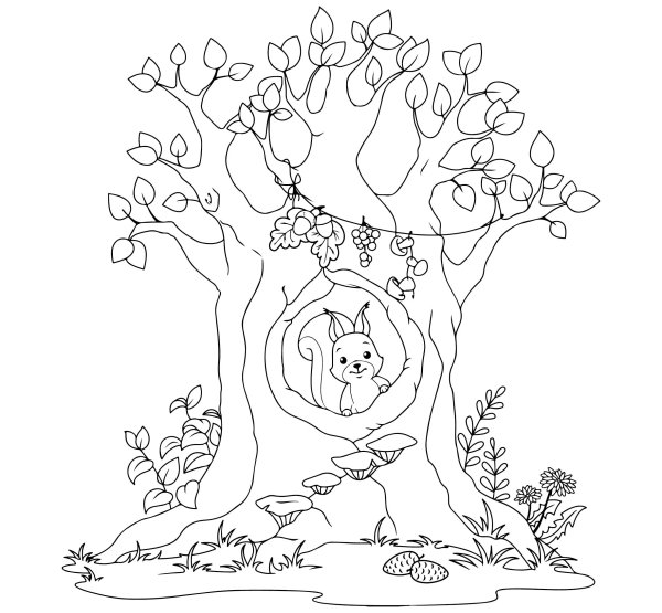 Белка в дупле раскраска