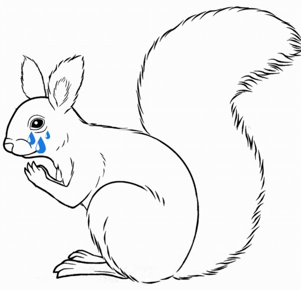 Лесные звери раскраска для детей