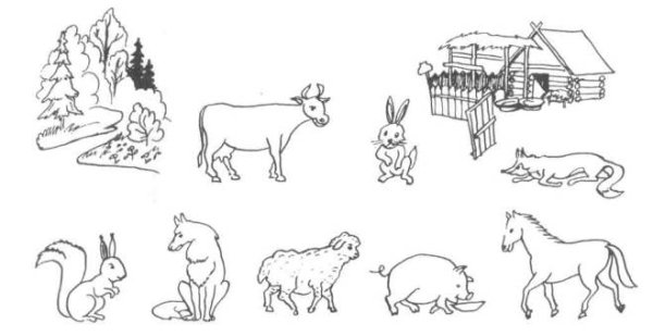 Дикие животные задания для дошкольников