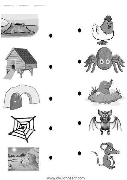 Соедини животных и их домики