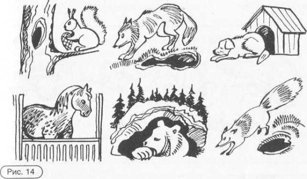 Жилища животных задания для дошкольников