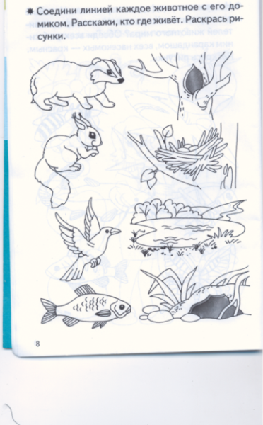 Кто где живёт животные задания для детей