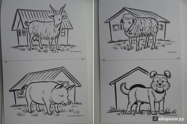 Карточки по лексической теме домашние животные