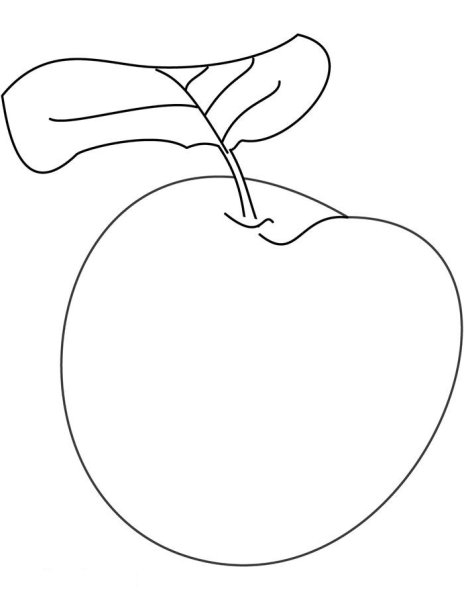 Слива шаблон для раскрашивания