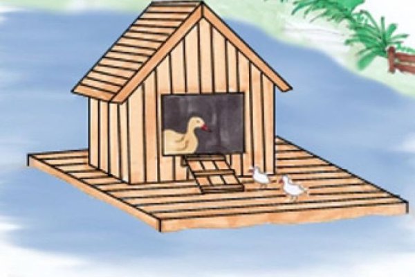 Будка для дикой утки