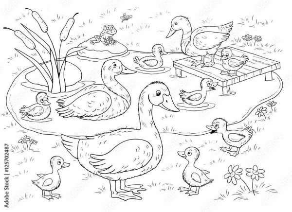 Птичий двор раскраска для детей