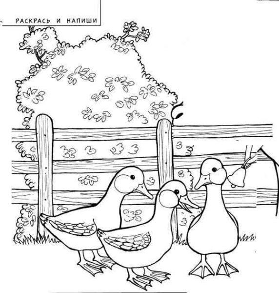 Гусь раскраска для детей