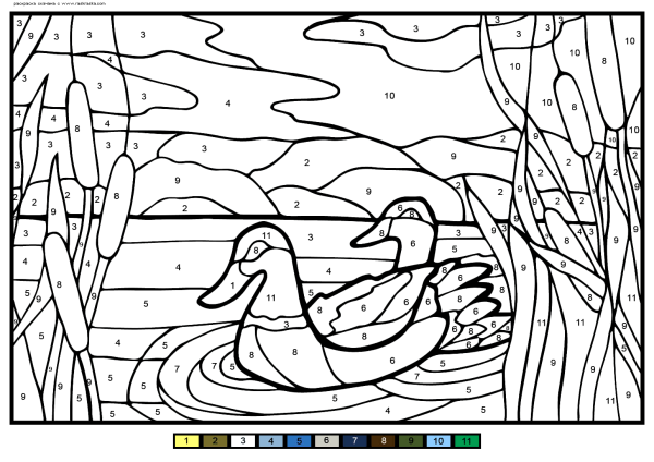 Раскрашивание по номерам для детей утка