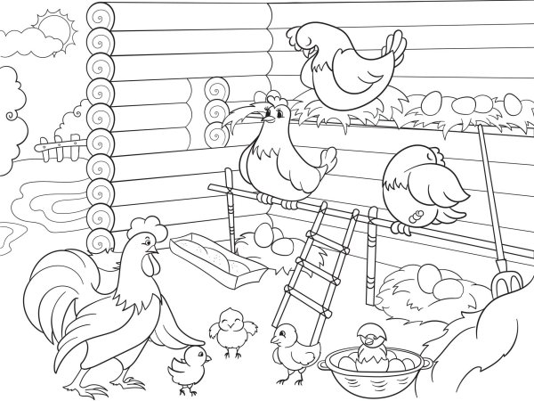 Птичий двор раскраска для детей