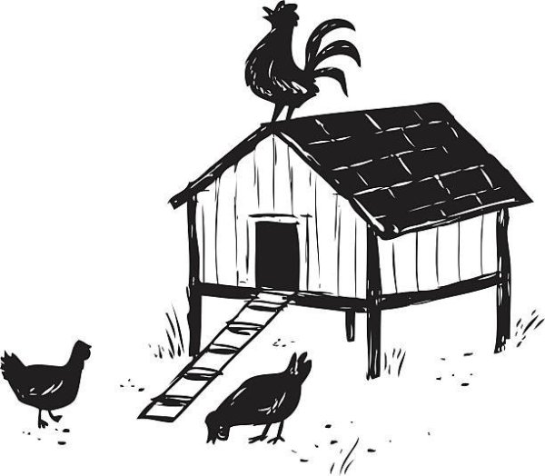 Курятник чб