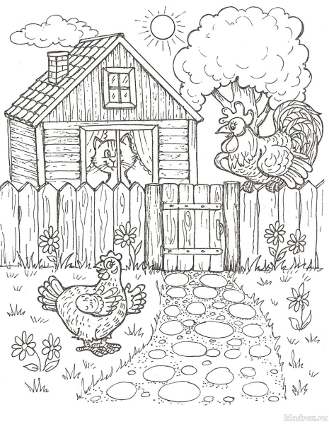 Забор курицы раскраска