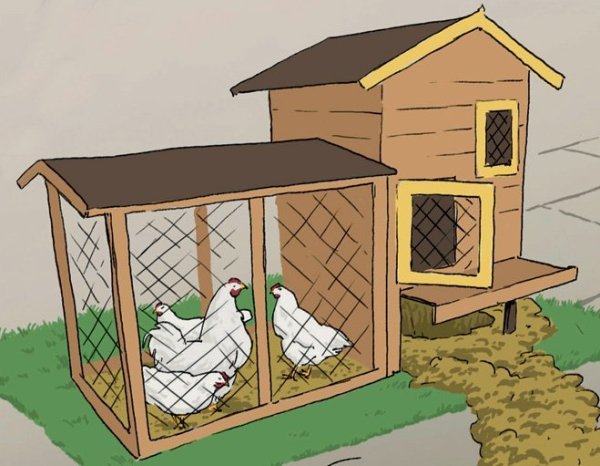 Курятник нарисованный