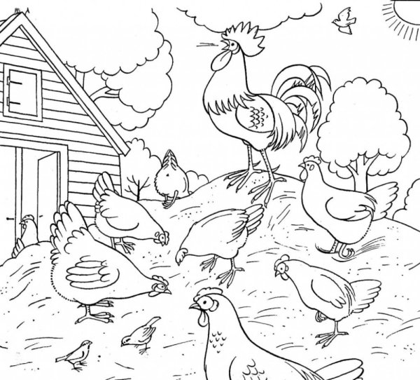 Птичий двор раскраска для детей