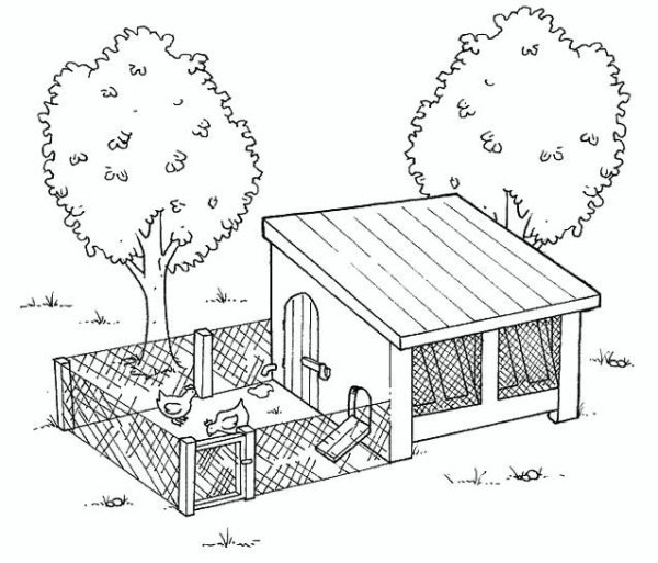 Хлев раскраска