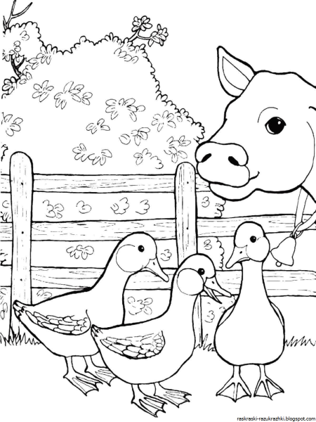 Домашние животные раскраска для детей