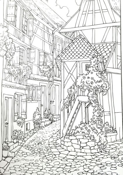 Раскраски пейзаж сложные