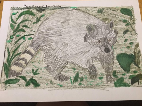 Акварельные раскраски по эскизам животные