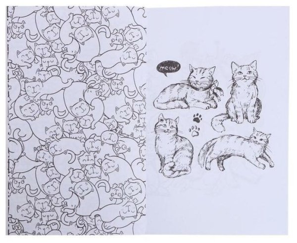 Жизнь котиков в большом городе