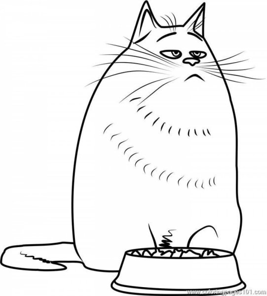 Раскраска Хлоя кошка